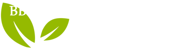 BBS Carpet Cleaners